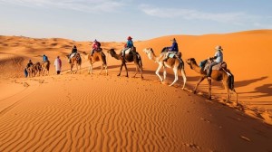 Top Iran Deserts to Visit